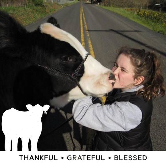 Meet your Posher, Celilo - Picture 1 of 1